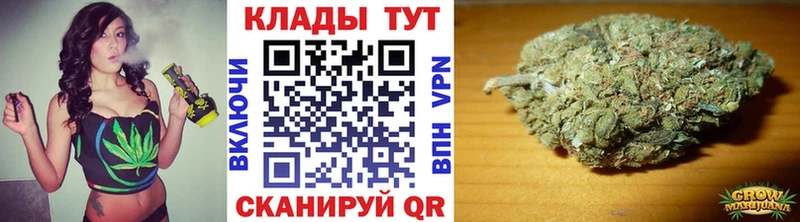 Продажа наркотиков Кадников Гашиш  Бошки Шишки  omg ССЫЛКА  Меф  Cocaine 