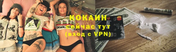 шишки Волосово